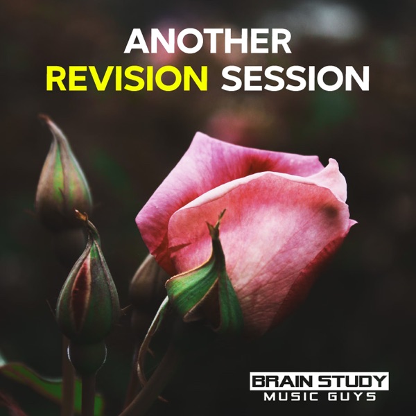 Another Revision Session