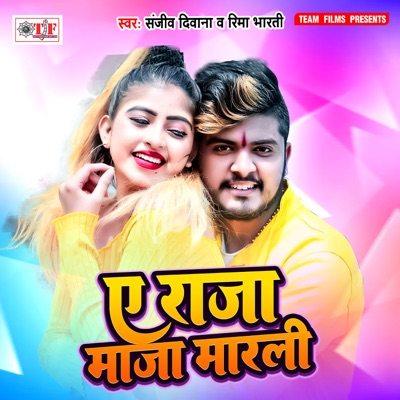 Ae Raja Maza Marli - Single