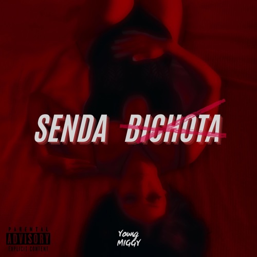 Senda Bichota - Single