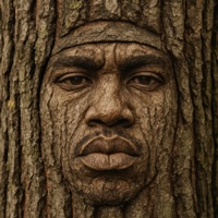 All My Homies Are Deciduous - Single - Cassingle Collective