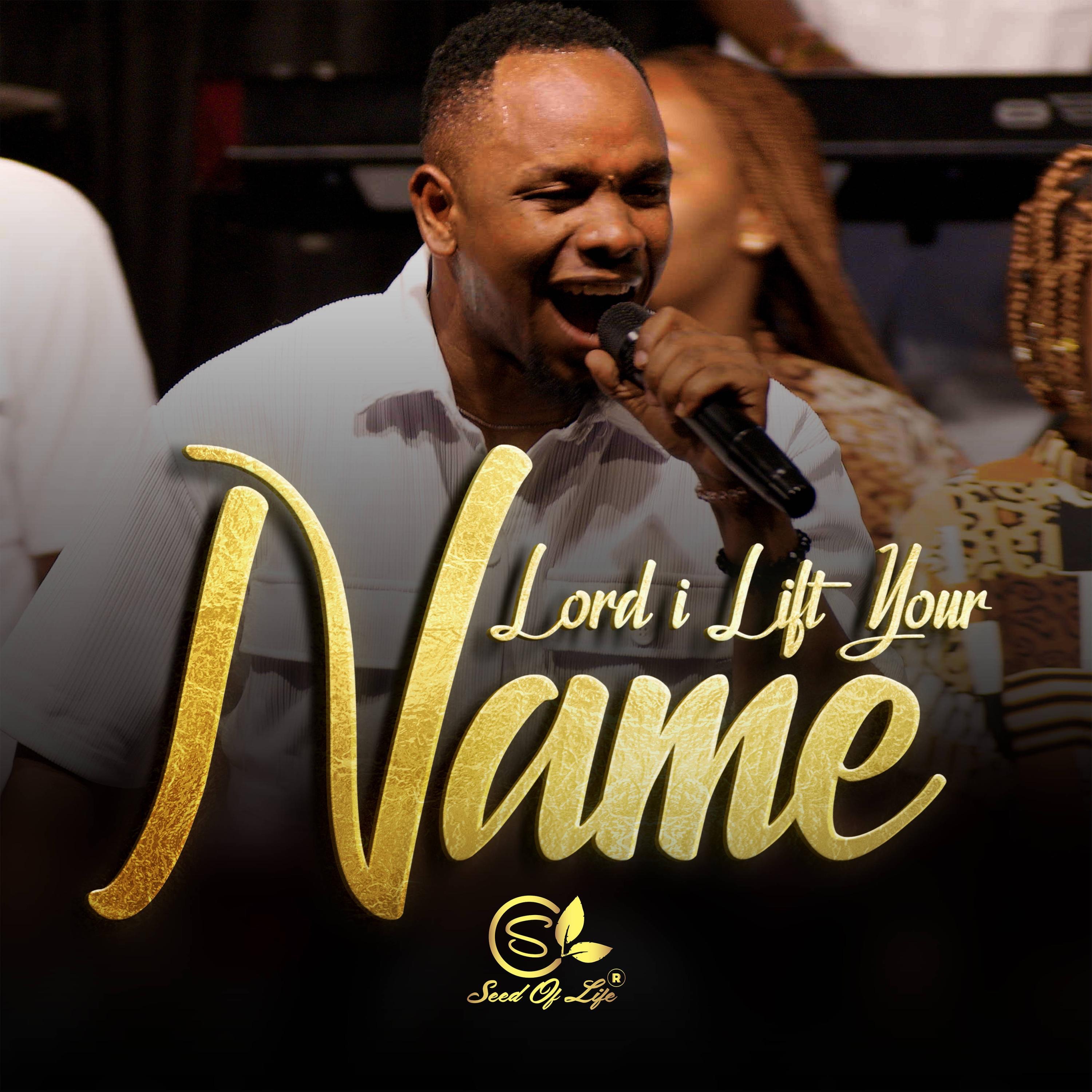 Seed Of Life - LORD I LIFT YOUR NAME (720p)