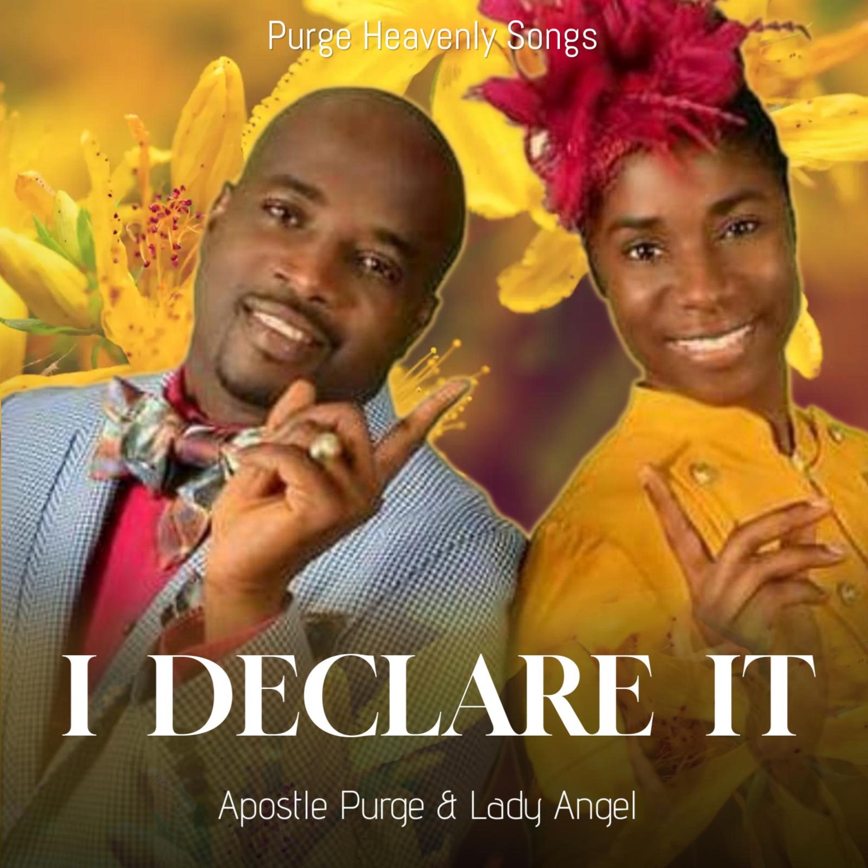 I Declare It - Single