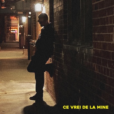 Ce vrei de la mine (feat. Cezar Wok) - Single