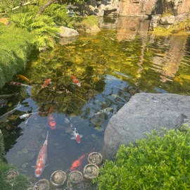 Breathe Again!* Wheres Leaf¿