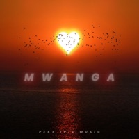 Mwanga - Single - Peks Epic Music