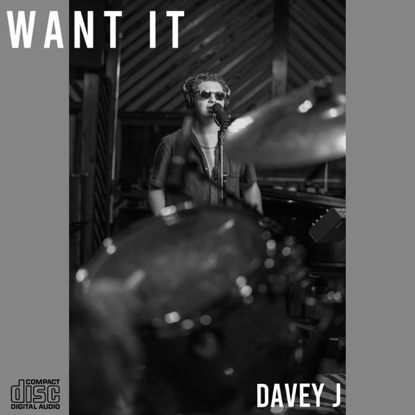 Want It - Single