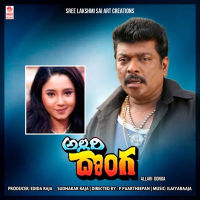 Allari Donga (Original Motion Picture Soundtrack)