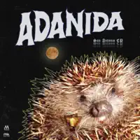 Benefits of Spice — ADANIDA