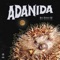 Seeds - ADANIDA lyrics