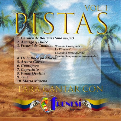 Pistas para Cantar Con Frenesí Orquesta, Vol. 1