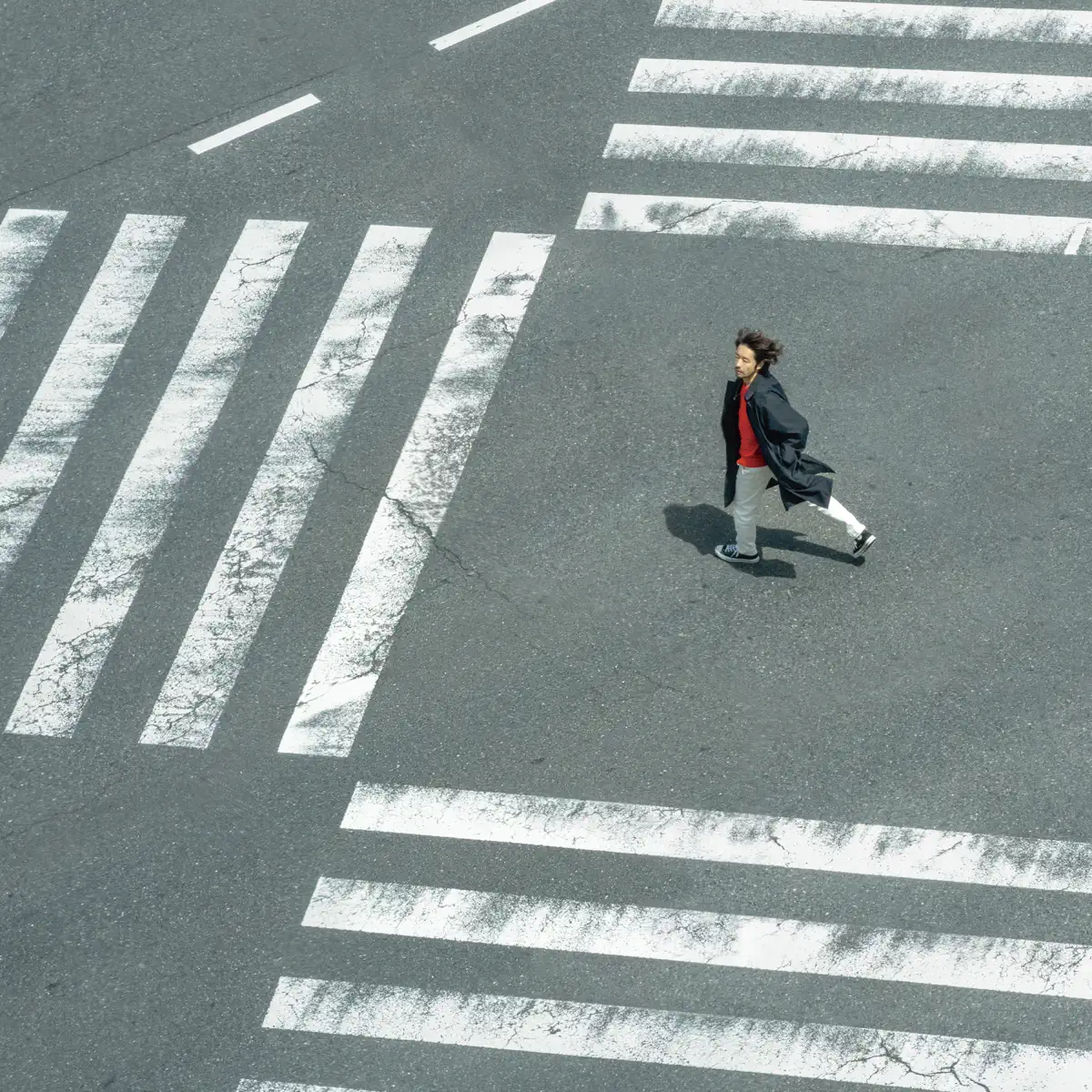 和田 唱 - Birdman (2024) [iTunes Plus AAC M4A]-新房子