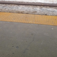 NO OPTIONS - Single - Quad Dope