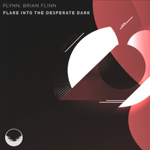 Flare Into the Desperate Dark - Single