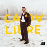 Caída Libre - Daniel Jaller