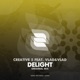 Delight feat Vlad Vlad Single