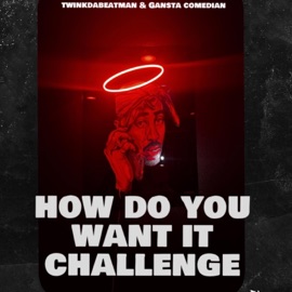 How do u want it challenge (feat. Twinkdabeatman & Gansta comedian) Roj & Twinkie