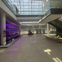 ganja - Single - kiji