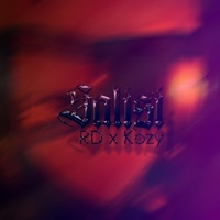 Salisi (feat. Kozy) - Single - Rd