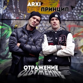 Отражение Princip & Arxi