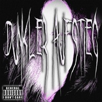 DUNKLER AUFSTIEG - Single - DJ PXRPLE