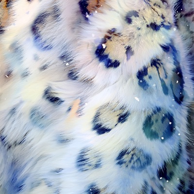 Transcendence - Single