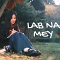 Lab Na Mey by Androx