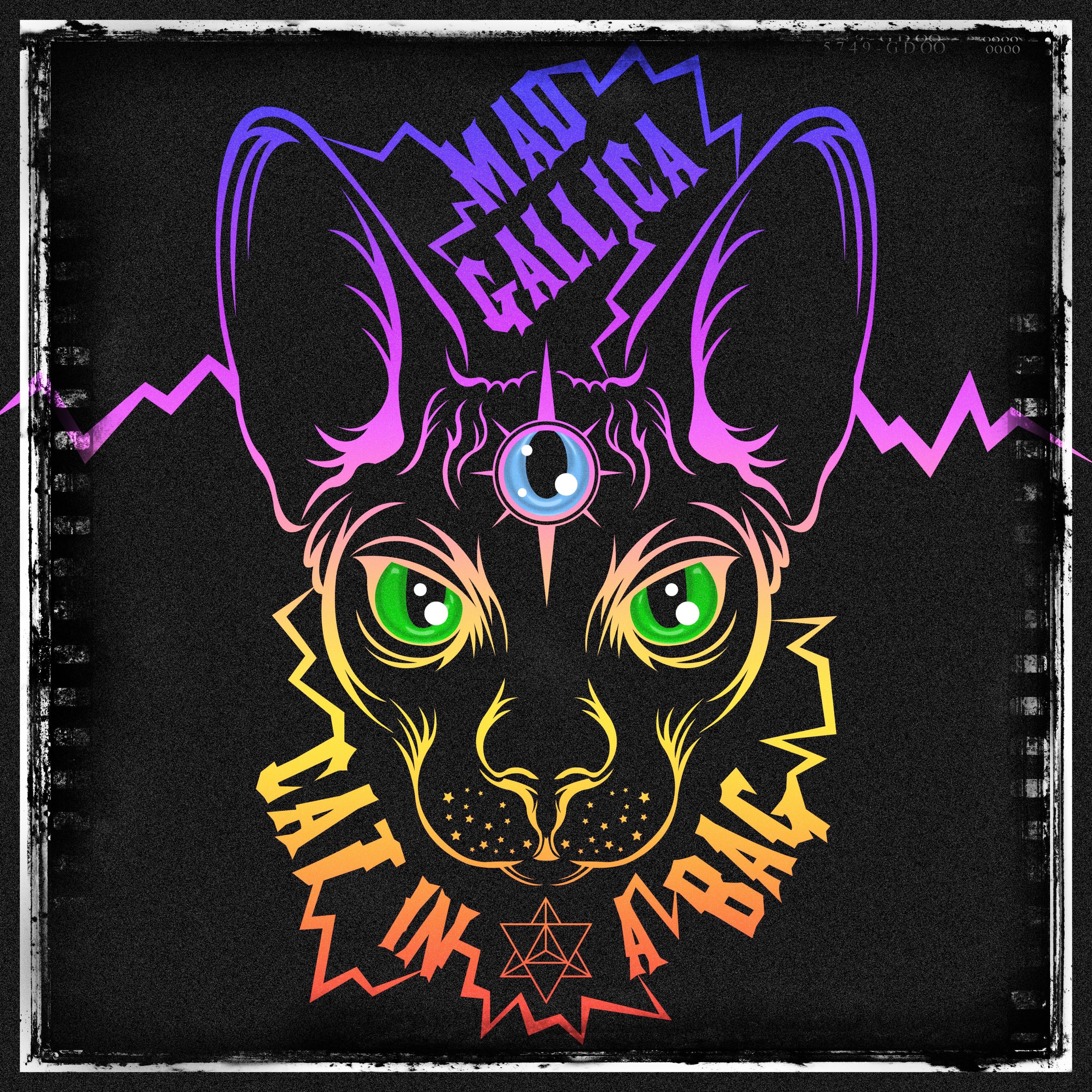 Cat In A Bag - Single