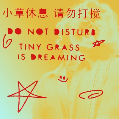 TINY GRASS IS DREAMING DO NOT DISTURB
