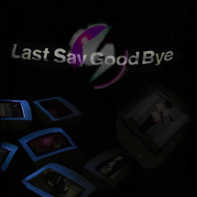 Last Say Good Bye