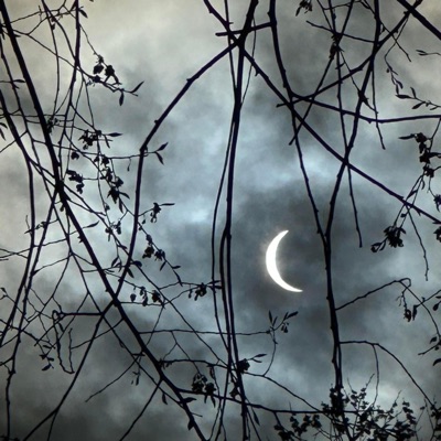 Tread (feat. Raxkz4 & Otv Jaydoh) - Single