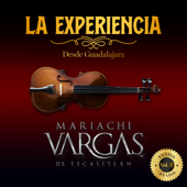 La Experiencia:, Vol. 2 (En Vivo)