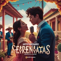 Serenatas 2.0 - Single - Artista Rosario