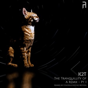 The Tranquillity of A Remix - Pt. I - Single