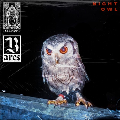 Night Owl - Single