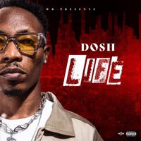 Life - Single - Dosh