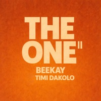 The One II - Single - Beekay & Timi Dakolo