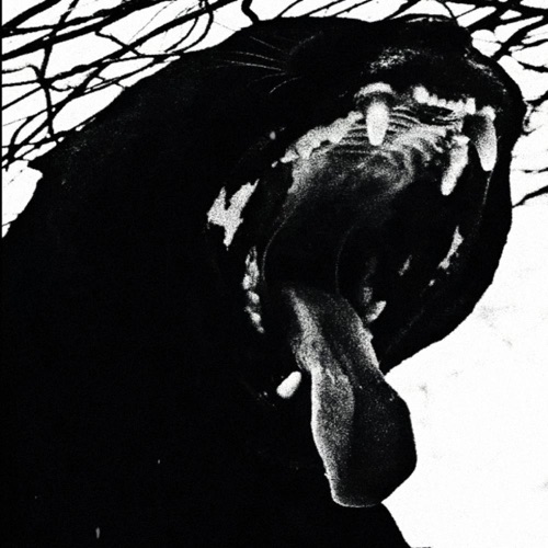 INFERIOR - Single