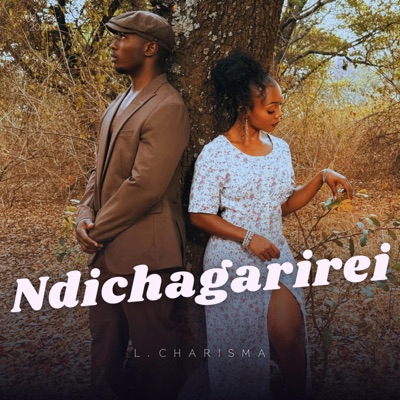 Ndichagarirei - Single
