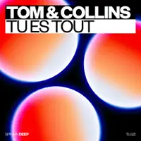 Tu Es Tout — TOM & COLLINS