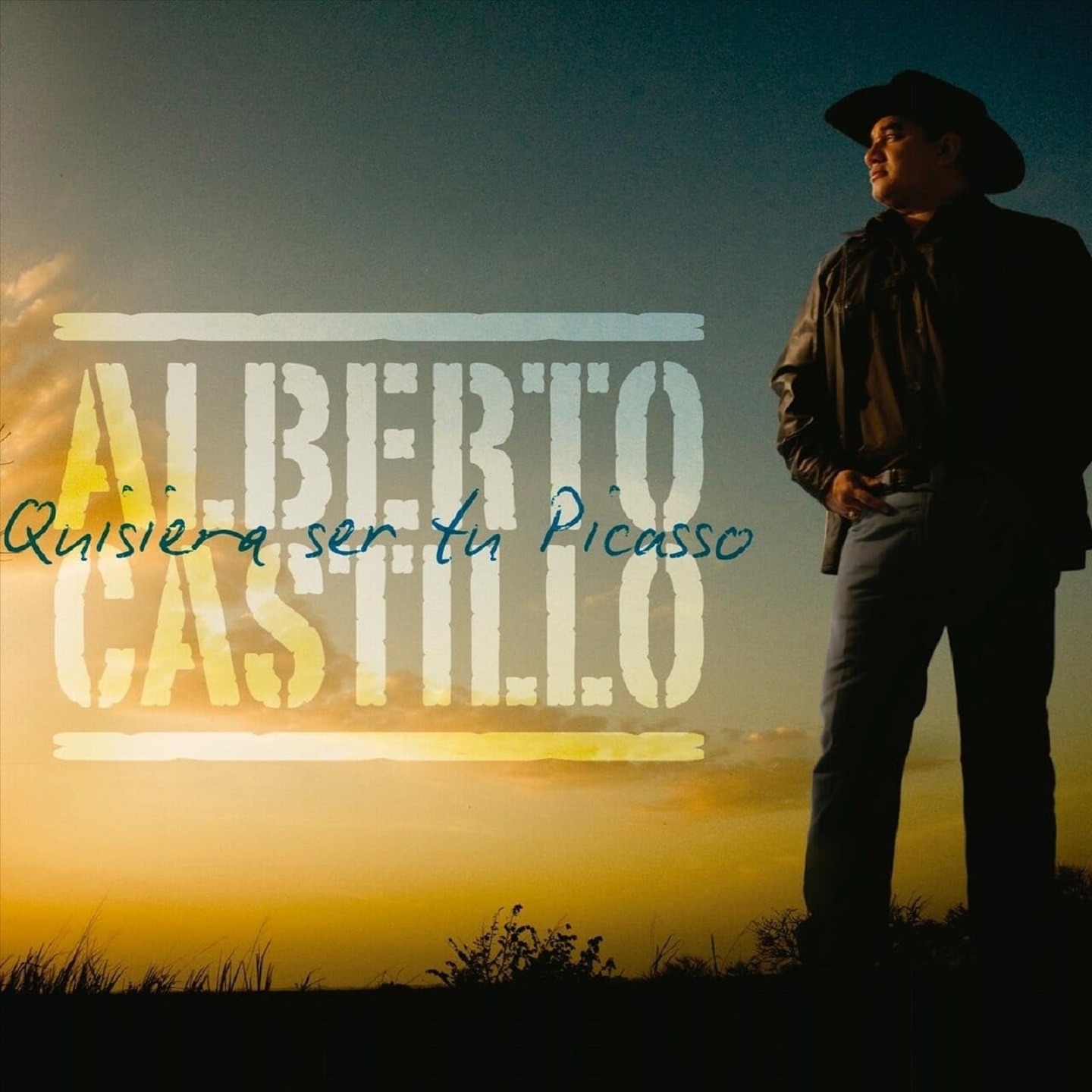 Quisiera Ser Tu Picasso