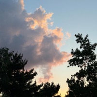 Lost Tranquility - Single - Bradenn