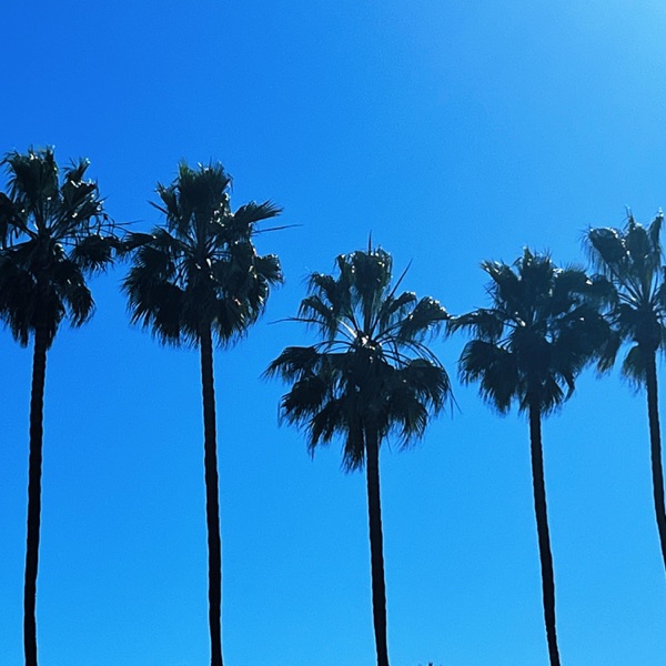 California Christmas