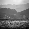 Kids
