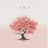 杏树花 (解不开的谜语0.98X)