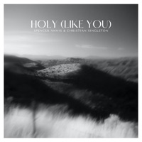 Holy (Like You) - Single - Spencer Annis & Christian Singleton