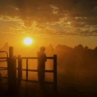 ilios - Single - ZWD