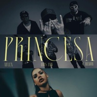 PRINCESA (feat. Aflex, Chekur & 1uiis Fer) - Single - Original Sur