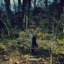 GIVE ME THE RUSH - Single