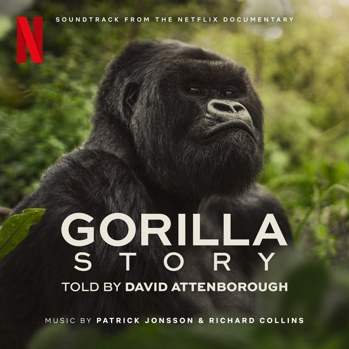 Patrick Jonsson & Richard Collins - 大卫·艾登堡: 大猩猩的故事 A Gorilla Story: Told by David Attenborough (Soundtrack from the Netflix Documentary) (2026) [iTunes Plus AAC M4A]-新房子