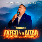Yo Vine a Buscar Fuego en Altar (Coros) song art